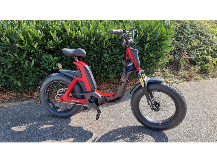 VELO VAE FANTIC ISSIMO MOTORS 54