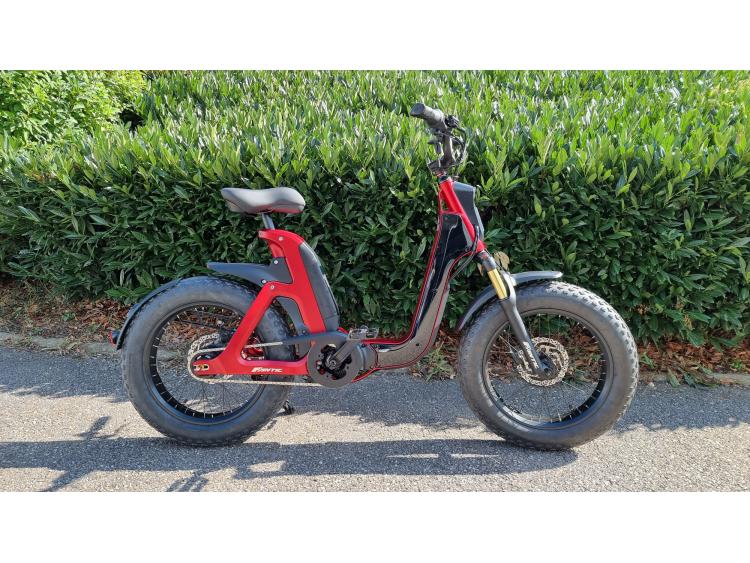 VELO VAE FANTIC ISSIMO MOTORS 54