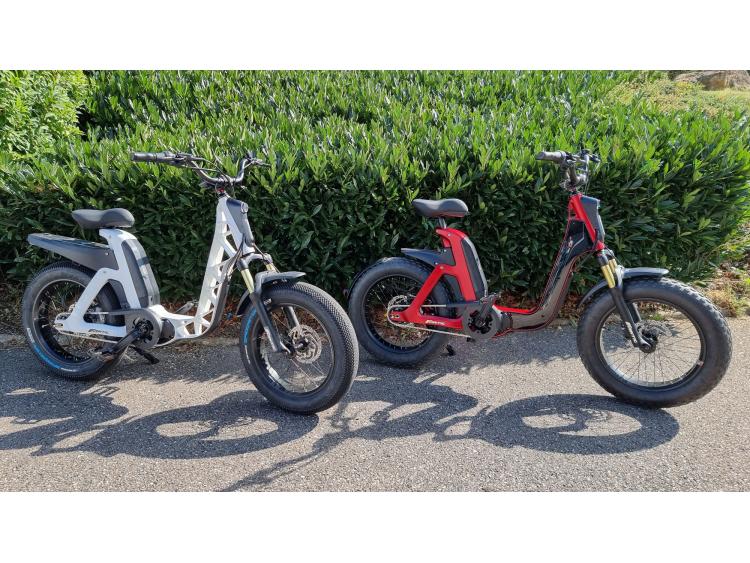 VELO VAE FANTIC ISSIMO MOTORS 54