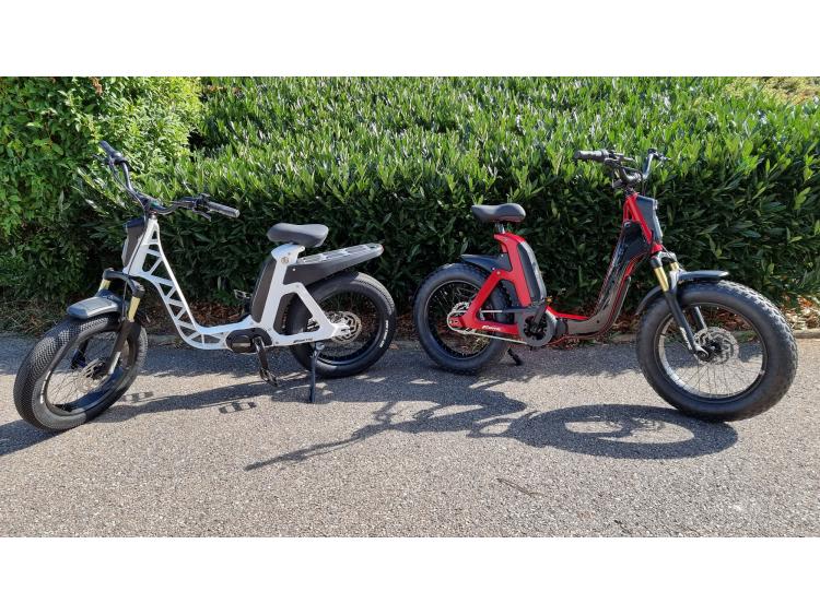 VELO VAE FANTIC ISSIMO MOTORS 54