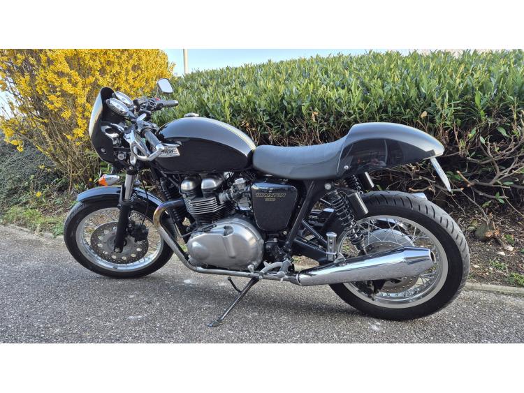 ROADSTER TRIUMPH THRUXTON 900 FI MOTORS 54