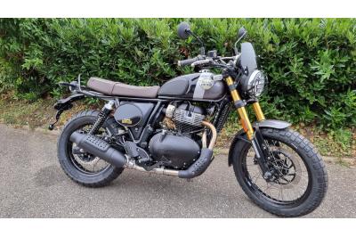 ROYAL ENFIELD BEAR 650
